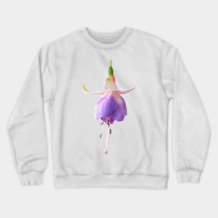 Fuchsia &#39;Prince George&#39; Crewneck Sweatshirt